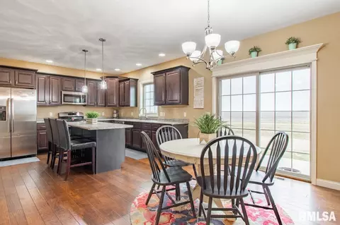 2829 W School St, Dunlap, IL 61525 photo 9