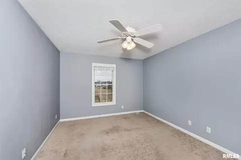 3728 W Eagle Dr, Dunlap, IL 61525 photo 31