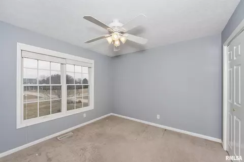 3728 W Eagle Dr, Dunlap, IL 61525 photo 29
