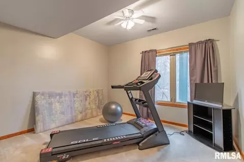 4646 S Tewkesbury Ct, Mapleton, IL 61547 photo 31