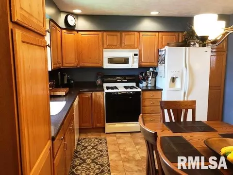 2202 Mitchell Dr, Eureka, IL 61530 photo 3