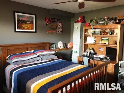 2202 Mitchell Dr, Eureka, IL 61530 photo 28