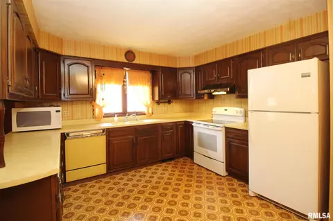 1361 N Forrest Dr, Metamora, IL 61548 photo 12