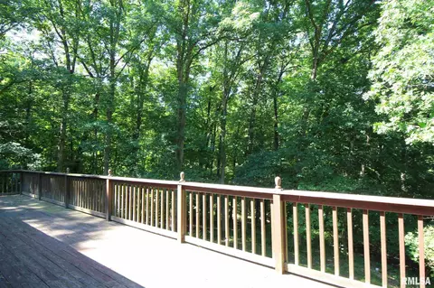 1361 N Forrest Dr, Metamora, IL 61548 photo 43