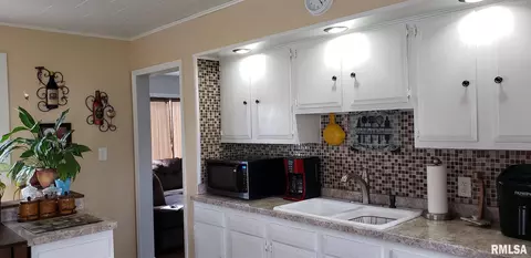 1015 Elm St, Canton, IL 61520 photo 14