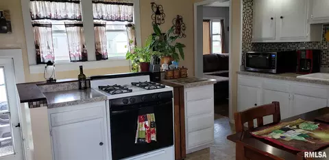 1015 Elm St, Canton, IL 61520 photo 10
