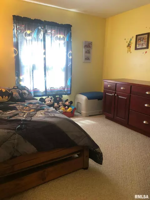 1470 E Sycamore St, Canton, IL 61520 photo 28
