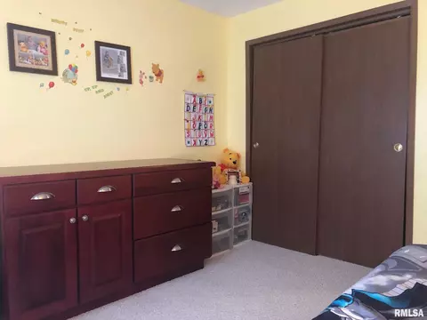 1470 E Sycamore St, Canton, IL 61520 photo 29