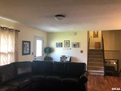 1470 E Sycamore St, Canton, IL 61520 photo 4