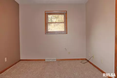 994 E Ash St, Canton, IL 61520 photo 17