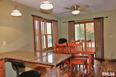 994 E Ash St, Canton, IL 61520 photo 10