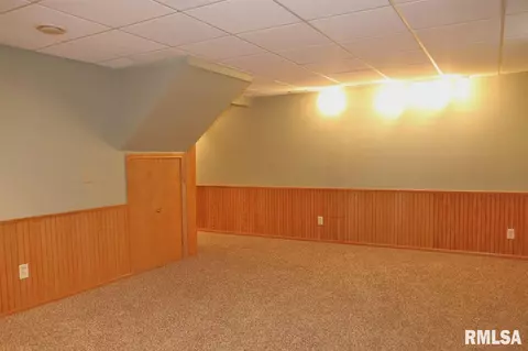 994 E Ash St, Canton, IL 61520 photo 23