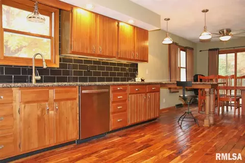 994 E Ash St, Canton, IL 61520 photo 9