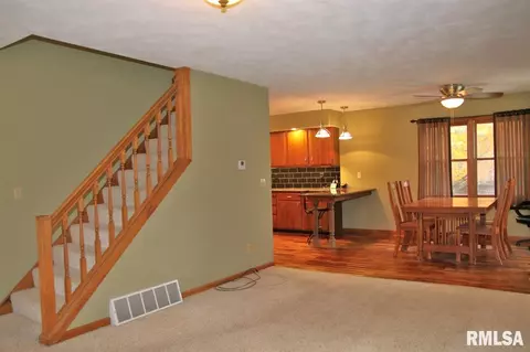 994 E Ash St, Canton, IL 61520 photo 11