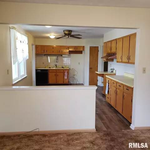 1105 E Linn St, Canton, IL 61520 photo 21