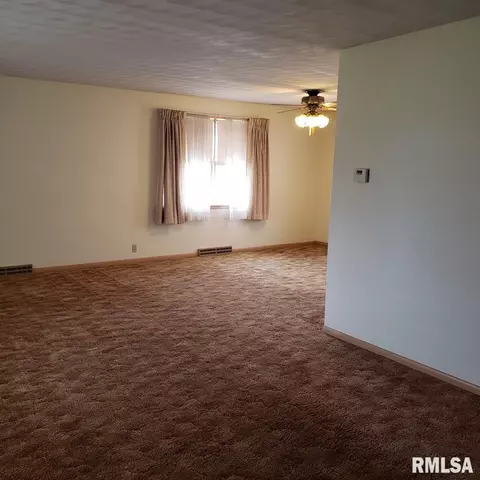1105 E Linn St, Canton, IL 61520 photo 34