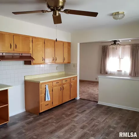 1105 E Linn St, Canton, IL 61520 photo 24