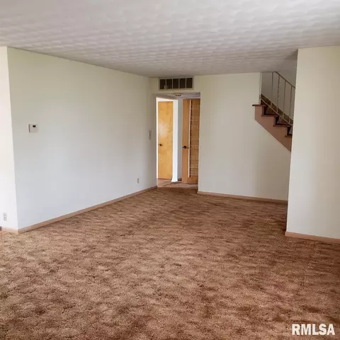 1105 E Linn St, Canton, IL 61520 photo 19