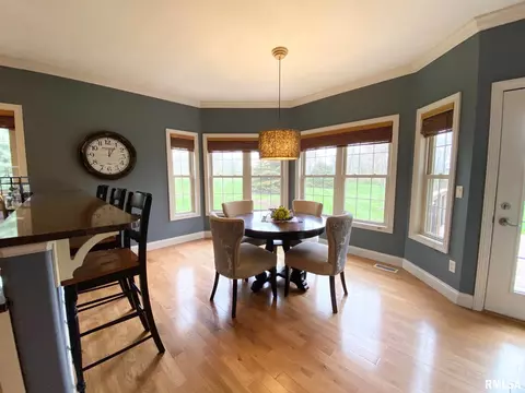 569 Pheasant Trl, Metamora, IL 61548 photo 20