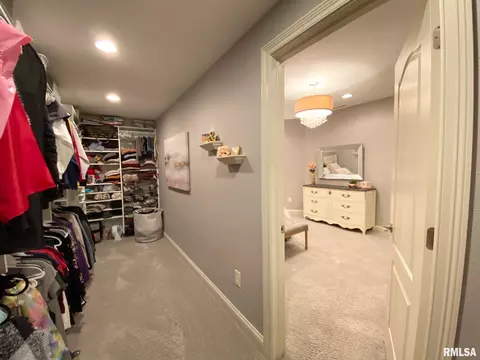 569 Pheasant Trl, Metamora, IL 61548 photo 42