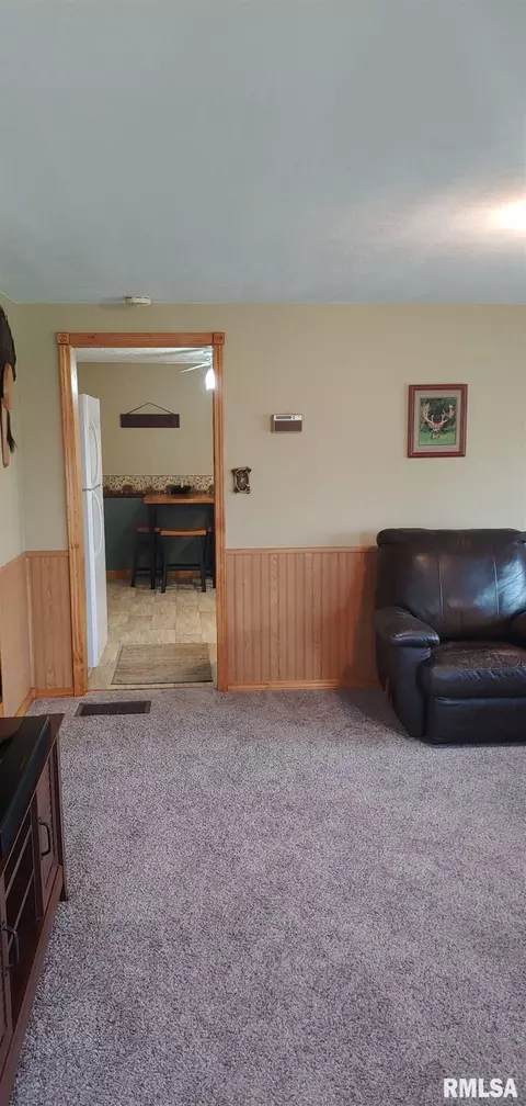 201 E 9th St, Glasford, IL 61533 photo 24