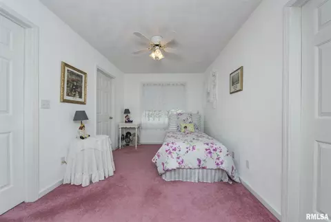 1655 Knapp Dr, Congerville, IL 61729 photo 35