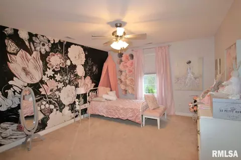 2408 W Pinnacle Dr, Dunlap, IL 61525 photo 34