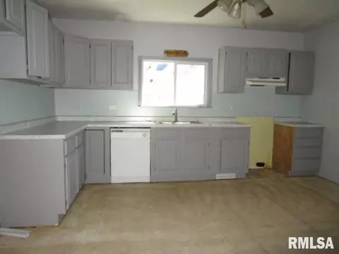 1267 E Chestnut St, Canton, IL 61520 photo 9