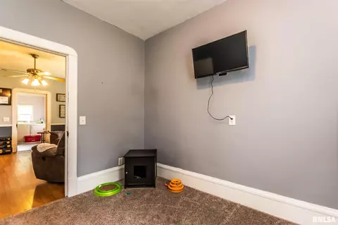 208 E 3rd St, Gridley, IL 61744 photo 20