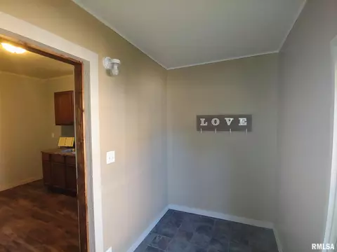 883 E Chestnut St, Canton, IL 61520 photo 7