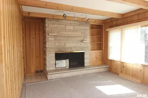 117 N Kickapoo Ter, Peoria, IL 61604 photo 34