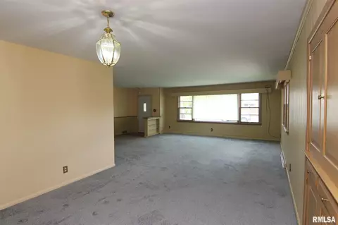 117 N Kickapoo Ter, Peoria, IL 61604 photo 6