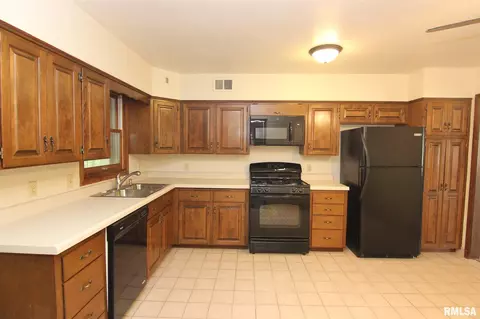 117 N Kickapoo Ter, Peoria, IL 61604 photo 12