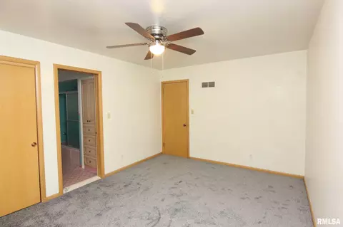 117 N Kickapoo Ter, Peoria, IL 61604 photo 15