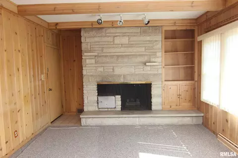117 N Kickapoo Ter, Peoria, IL 61604 photo 36