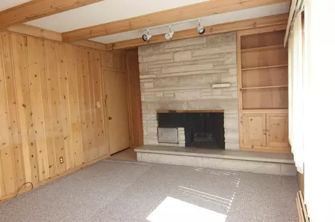 117 N Kickapoo Ter, Peoria, IL 61604 photo 35