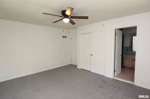 117 N Kickapoo Ter, Peoria, IL 61604 photo 20