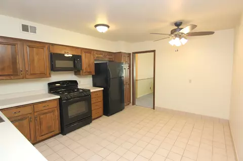 117 N Kickapoo Ter, Peoria, IL 61604 photo 11