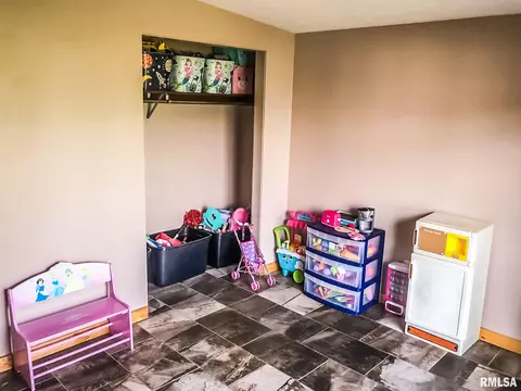 13106 Cedar St, Manito, IL 61546 photo 15