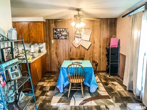 13106 Cedar St, Manito, IL 61546 photo 7