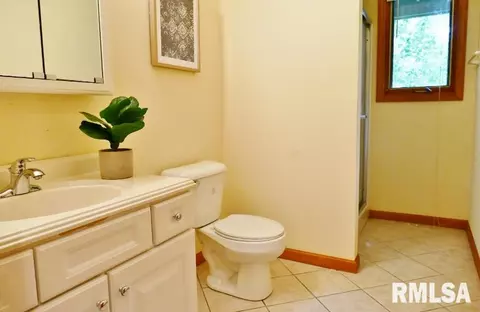 1318 Amanda Dr, Metamora, IL 61548 photo 36