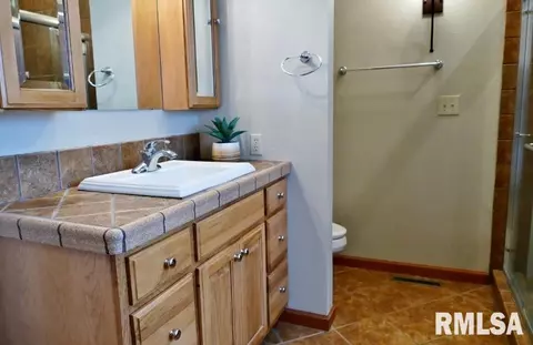 1318 Amanda Dr, Metamora, IL 61548 photo 25