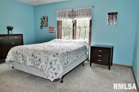 1318 Amanda Dr, Metamora, IL 61548 photo 31