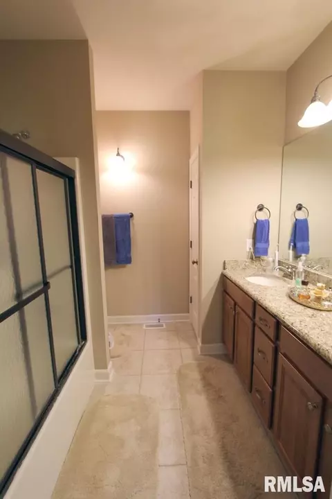 1115 Eaglet Ct, Lacon, IL 61540 photo 13
