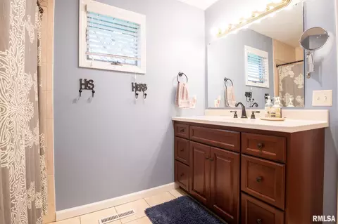 10 Forestview Rd, Morton, IL 61550 photo 30