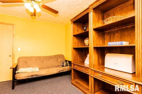 200 W Van Alstine St, Secor, IL 61771 photo 23