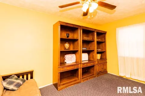 200 W Van Alstine St, Secor, IL 61771 photo 22