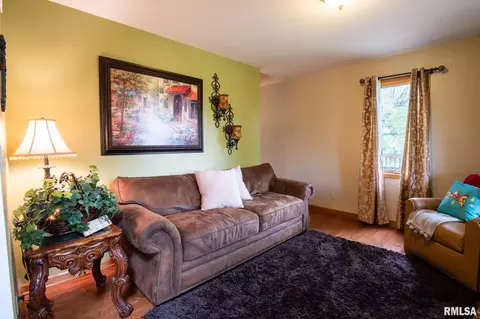 5007 S Lake Camelot Dr, Mapleton, IL 61547 photo 19