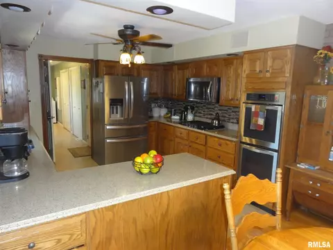 127 N Castle Dr, Dunlap, IL 61525 photo 11