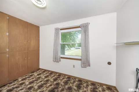 203 W 5th St, Minonk, IL 61760 photo 18
